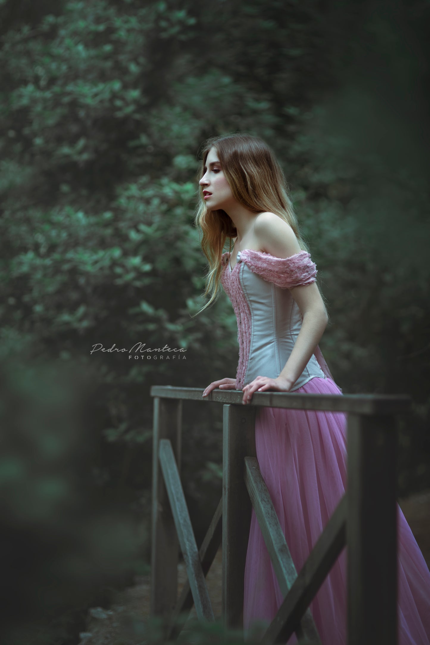 Fairytale princess dress